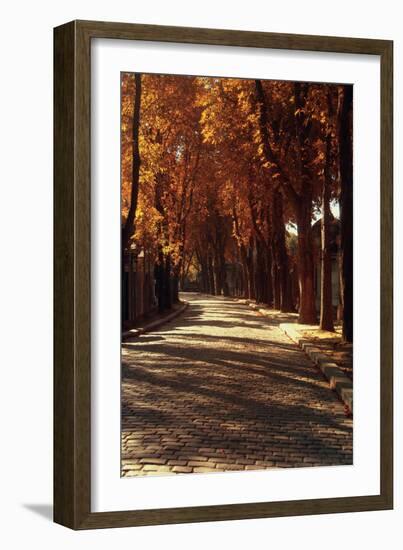 Pere La Chaise-Laura Marshall-Framed Photo