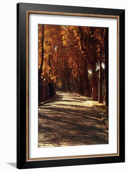 Pere La Chaise-Laura Marshall-Framed Photo