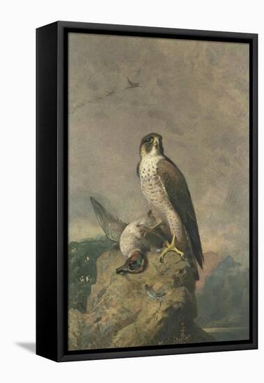 Peregrine and Teal-Archibald Thorburn-Framed Premier Image Canvas