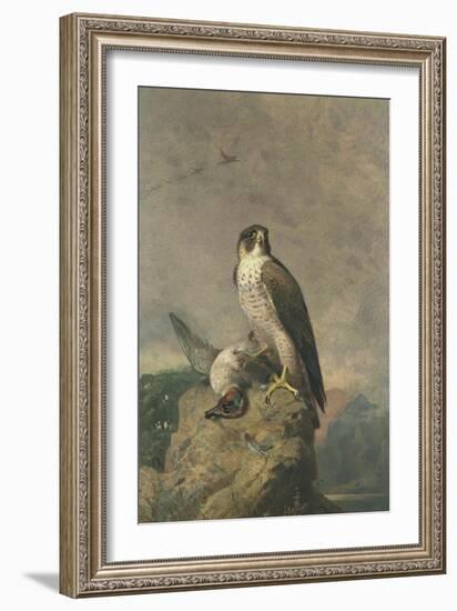 Peregrine and Teal-Archibald Thorburn-Framed Giclee Print