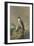 Peregrine and Teal-Archibald Thorburn-Framed Giclee Print