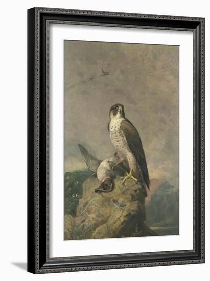 Peregrine and Teal-Archibald Thorburn-Framed Giclee Print