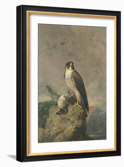 Peregrine and Teal-Archibald Thorburn-Framed Giclee Print