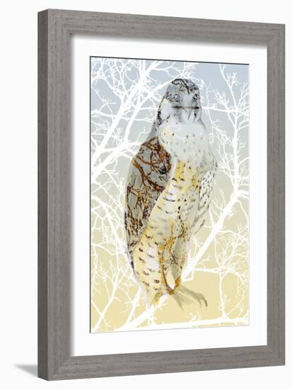 Peregrine Falcon, 2015-Nancy Moniz Charalambous-Framed Giclee Print