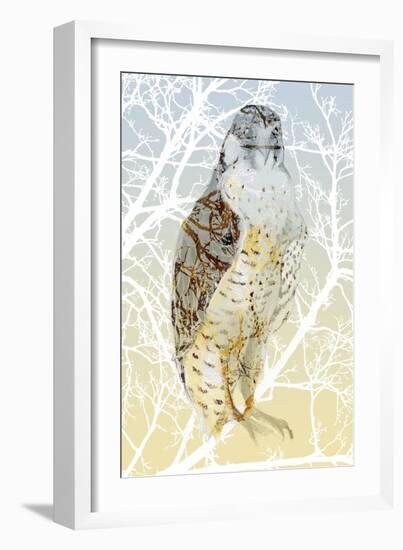 Peregrine Falcon, 2015-Nancy Moniz Charalambous-Framed Giclee Print