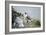 Peregrine Falcon Adult Warms a Chick-Andrey Zvoznikov-Framed Photographic Print