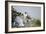 Peregrine Falcon Adult Warms a Chick-Andrey Zvoznikov-Framed Photographic Print