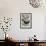 Peregrine Falcon and Kestrel-David Nockels-Framed Giclee Print displayed on a wall