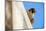 Peregrine falcon calling, Sagrada Familia Basilica, Barcelona-Oriol Alamany-Mounted Photographic Print