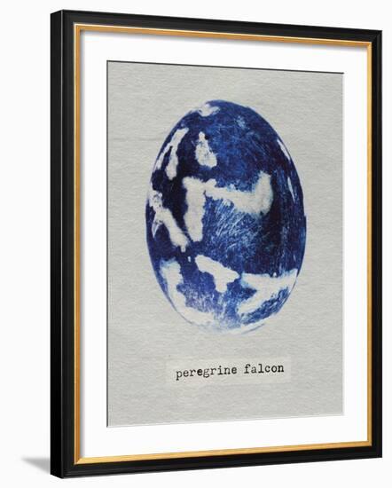 Peregrine Falcon Egg-Chris Dunker-Framed Giclee Print