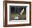 Peregrine falcon (Falco peregrinus) adult landing at nest with chicks, Vaala, Finland, June.-Markus Varesvuo-Framed Photographic Print