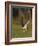 Peregrine falcon (Falco peregrinus) in flight,  Vaala, Finland, June.-Markus Varesvuo-Framed Photographic Print