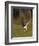 Peregrine falcon (Falco peregrinus) in flight,  Vaala, Finland, June.-Markus Varesvuo-Framed Photographic Print