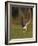 Peregrine falcon (Falco peregrinus) in flight,  Vaala, Finland, June.-Markus Varesvuo-Framed Photographic Print