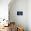 Peregrine falcon fledgling, perched on skyscraper window ledge-Oriol Alamany-Photographic Print displayed on a wall