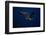 Peregrine Falcon Flying over a Lake-W^ Perry Conway-Framed Photographic Print