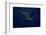 Peregrine Falcon Flying over a Lake-W^ Perry Conway-Framed Photographic Print