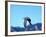 Peregrine Falcon in Flight, Native to USA-David Northcott-Framed Photographic Print