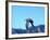 Peregrine Falcon in Flight, Native to USA-David Northcott-Framed Photographic Print