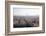 Peregrine falcon in flight over city, Barcelona, Spain-Oriol Alamany-Framed Photographic Print