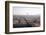 Peregrine falcon in flight over city, Barcelona, Spain-Oriol Alamany-Framed Photographic Print