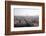 Peregrine falcon in flight over city, Barcelona, Spain-Oriol Alamany-Framed Photographic Print