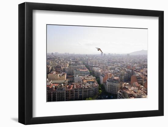 Peregrine falcon in flight over city, Barcelona, Spain-Oriol Alamany-Framed Photographic Print