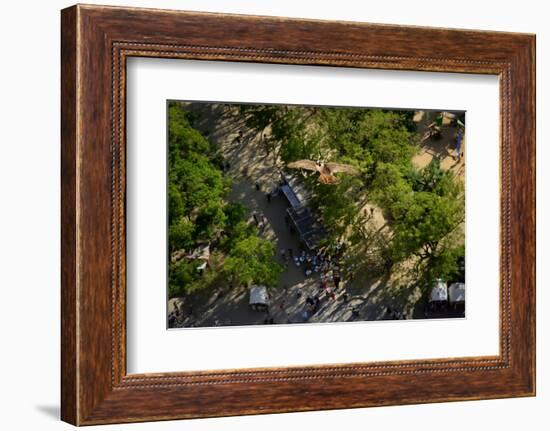 Peregrine falcon in flight over city, Sagrada Familia, Barcelona-Oriol Alamany-Framed Photographic Print