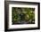 Peregrine falcon in flight over city, Sagrada Familia, Barcelona-Oriol Alamany-Framed Photographic Print