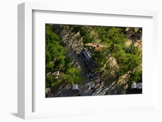 Peregrine falcon in flight over city, Sagrada Familia, Barcelona-Oriol Alamany-Framed Photographic Print