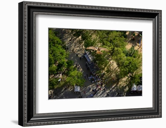 Peregrine falcon in flight over city, Sagrada Familia, Barcelona-Oriol Alamany-Framed Photographic Print