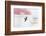 Peregrine falcon in flight, Port of Barcelona, Spain-Oriol Alamany-Framed Photographic Print