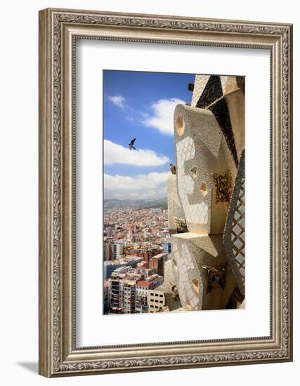 Peregrine falcon in flight with female perched on the Sagrada Familia-Oriol Alamany-Framed Photographic Print