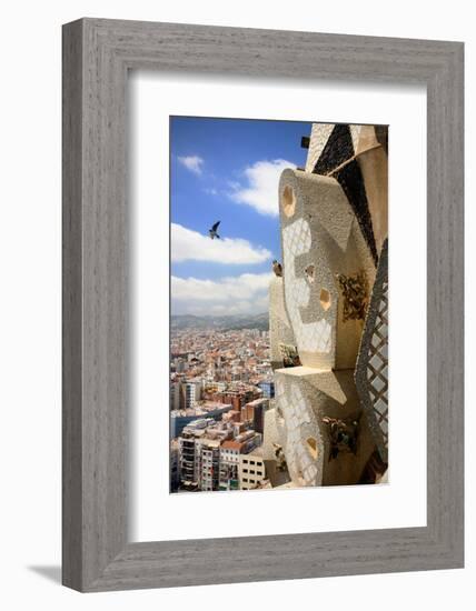 Peregrine falcon in flight with female perched on the Sagrada Familia-Oriol Alamany-Framed Photographic Print