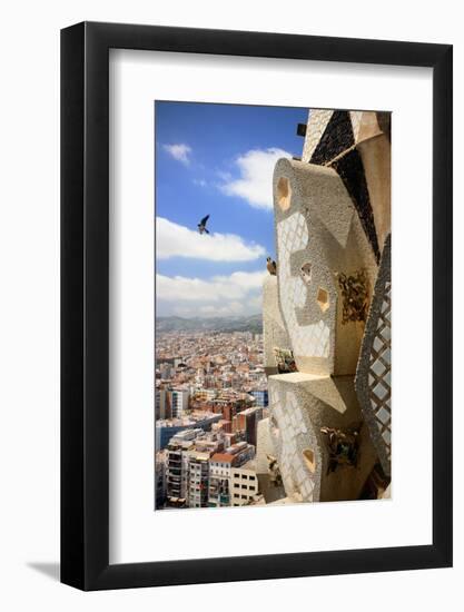 Peregrine falcon in flight with female perched on the Sagrada Familia-Oriol Alamany-Framed Photographic Print