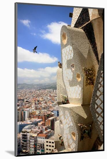 Peregrine falcon in flight with female perched on the Sagrada Familia-Oriol Alamany-Mounted Photographic Print