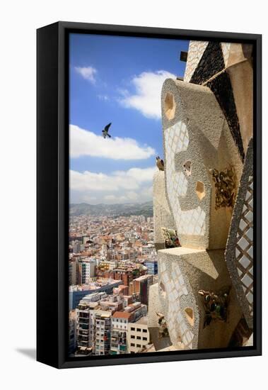 Peregrine falcon in flight with female perched on the Sagrada Familia-Oriol Alamany-Framed Premier Image Canvas