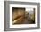 Peregrine falcon perched in nest box with four eggs, Barcelona-Oriol Alamany-Framed Photographic Print