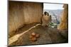 Peregrine falcon perched in nest box with four eggs, Barcelona-Oriol Alamany-Mounted Photographic Print