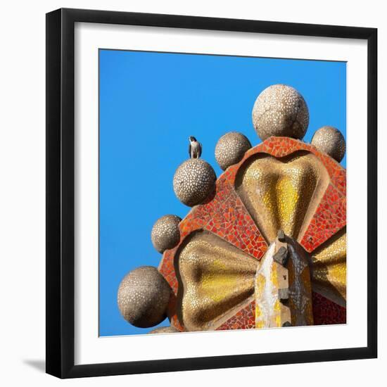 Peregrine falcon perched on top of mosaic tower, Sagrada Familia-Oriol Alamany-Framed Photographic Print