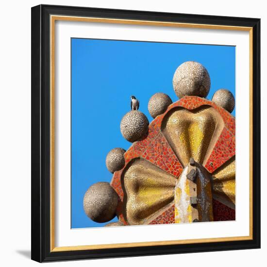 Peregrine falcon perched on top of mosaic tower, Sagrada Familia-Oriol Alamany-Framed Photographic Print