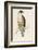 Peregrine Falcon-Reverend Francis O. Morris-Framed Photographic Print