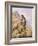 Peregrine Falcon-Carl Donner-Framed Giclee Print