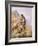 Peregrine Falcon-Carl Donner-Framed Giclee Print