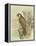 Peregrine Falcon-F. w. Frohawk-Framed Stretched Canvas