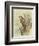 Peregrine Falcon-F. w. Frohawk-Framed Art Print