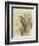 Peregrine Falcon-F. w. Frohawk-Framed Art Print