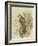 Peregrine Falcon-F. w. Frohawk-Framed Art Print