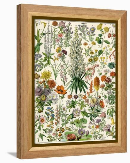 Perennial Garden Flowers, Aster, Daisy, Bleeding Heart, Geranium, Primrose, Phlox-null-Framed Premier Image Canvas