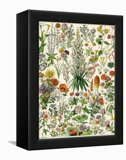 Perennial Garden Flowers, Aster, Daisy, Bleeding Heart, Geranium, Primrose, Phlox-null-Framed Premier Image Canvas